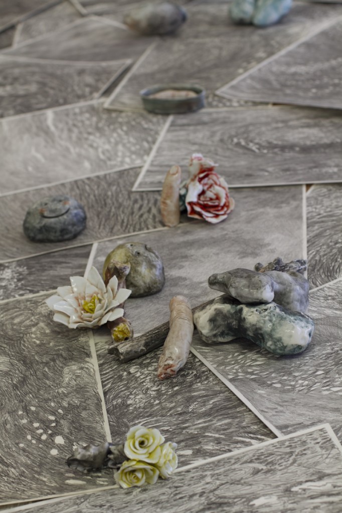 Wandering RocksPiedras Errantes