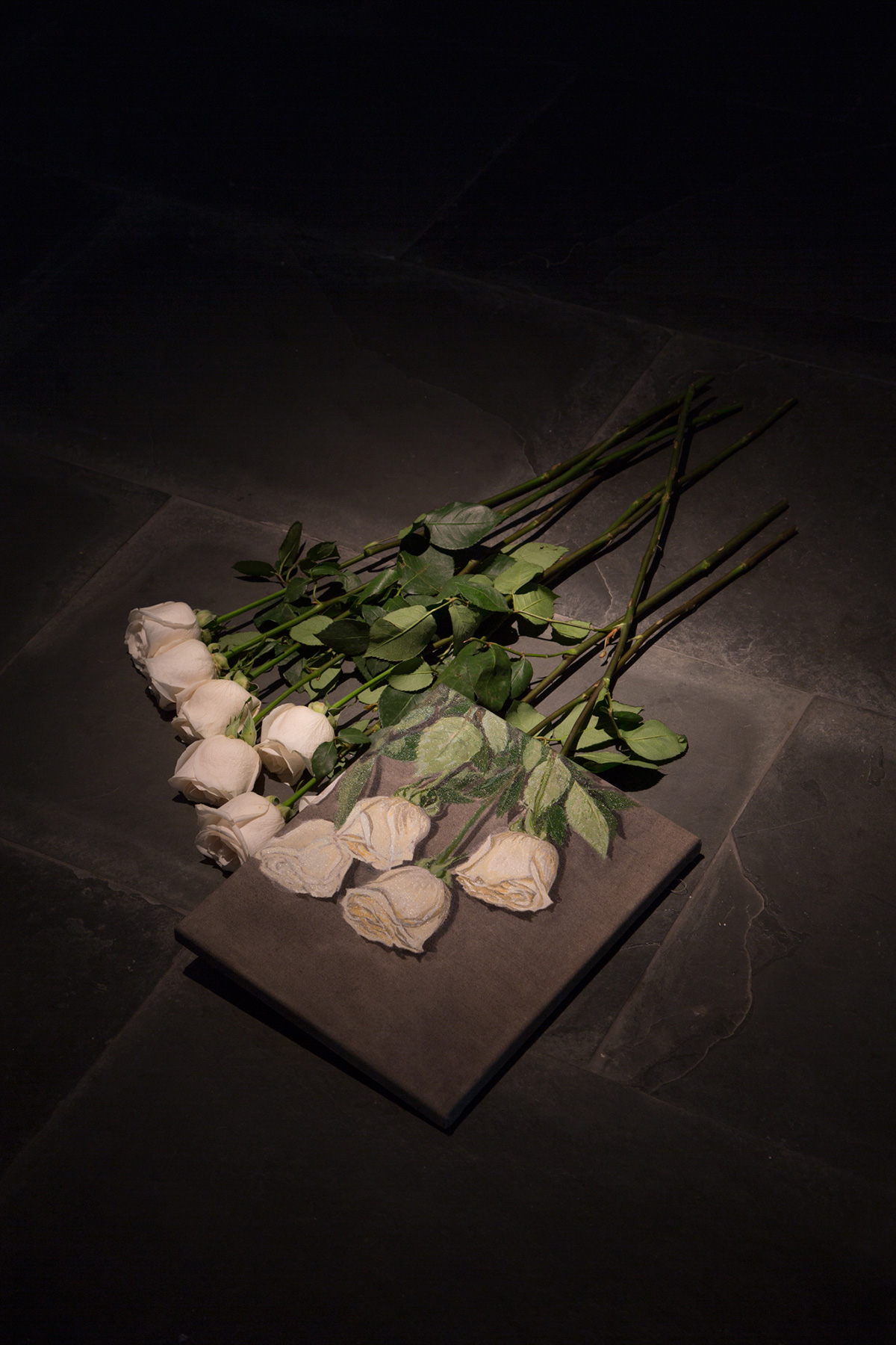 Piedras de otros ladosStones elsewherePierres ailleurs