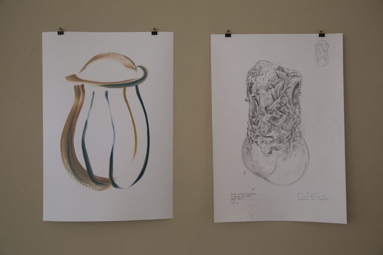 Mirar adentro / Intervención