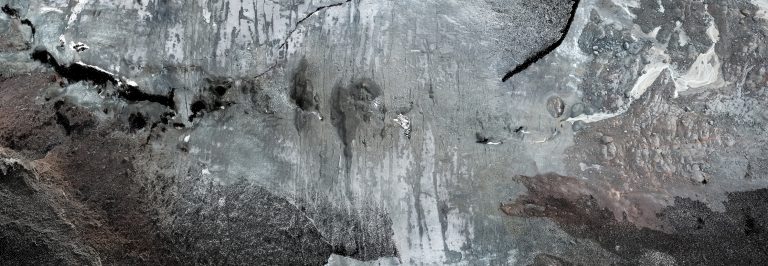 Corps glacieres, ancêtres d’une future extinction